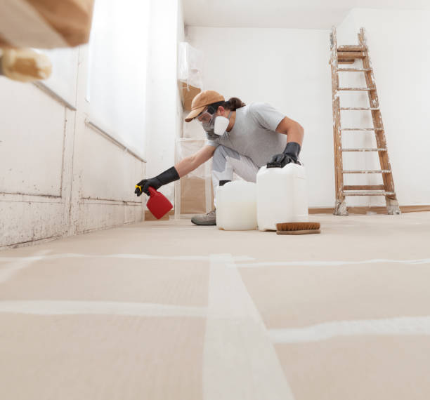 Best Industrial Mold Remediation  in Lely, FL